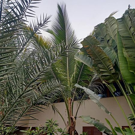 Casa Das Buganvilias ปรายา ภายนอก รูปภาพ