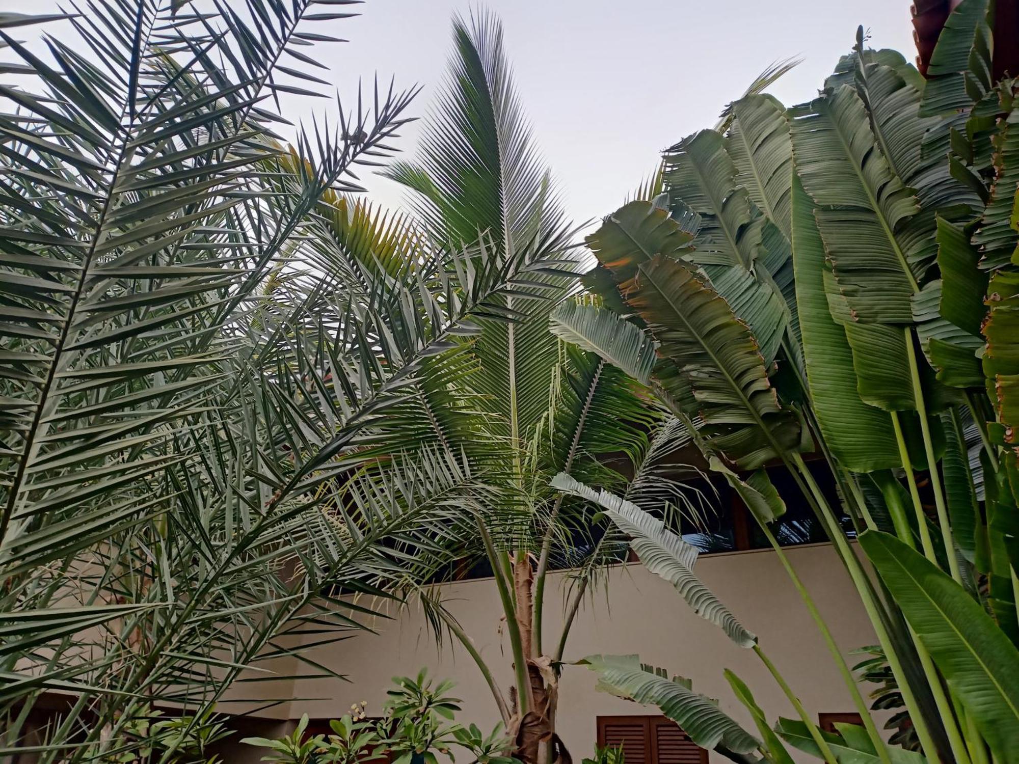 Casa Das Buganvilias ปรายา ภายนอก รูปภาพ