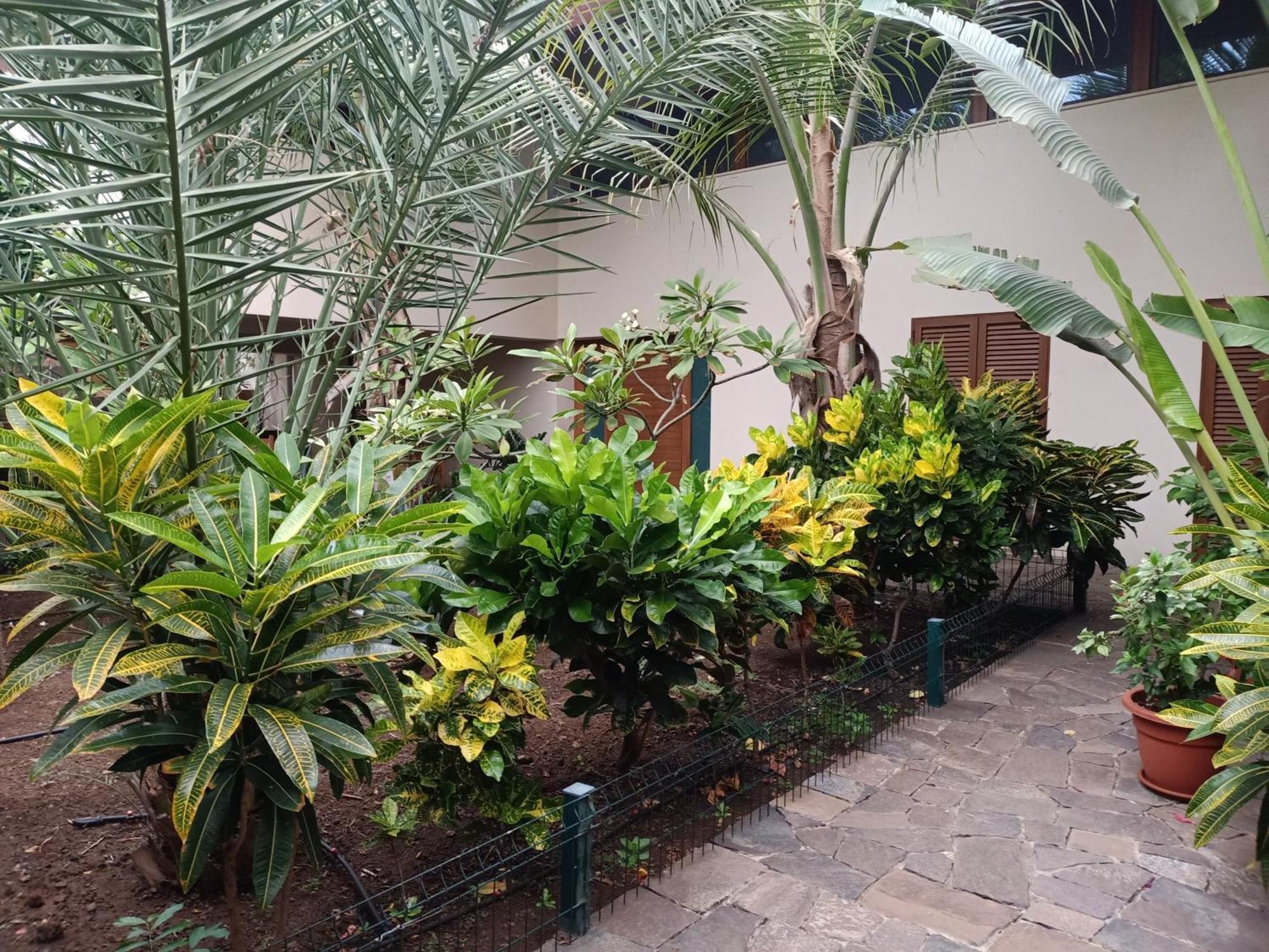 Casa Das Buganvilias ปรายา ภายนอก รูปภาพ
