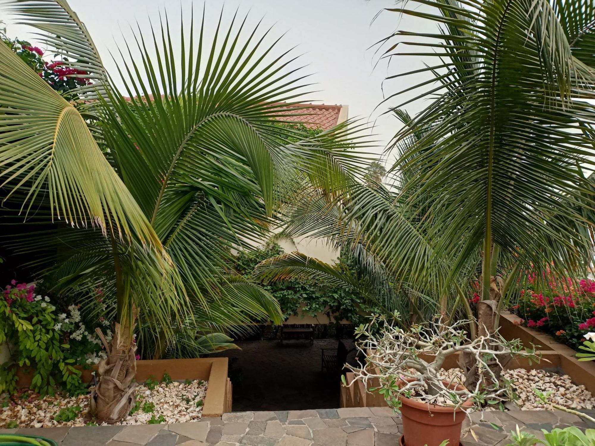 Casa Das Buganvilias ปรายา ภายนอก รูปภาพ